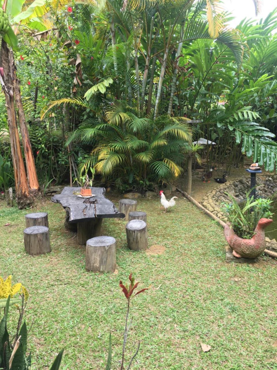 Hotel Green Ecologico ラ・ベガ エクステリア 写真
