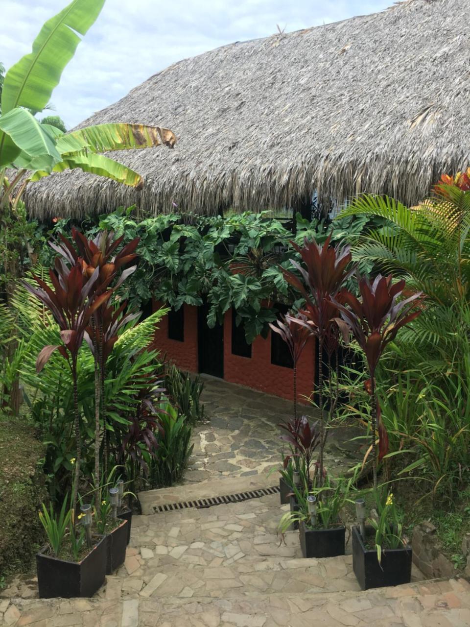 Hotel Green Ecologico ラ・ベガ エクステリア 写真