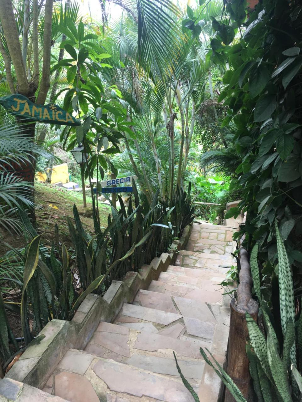 Hotel Green Ecologico ラ・ベガ エクステリア 写真