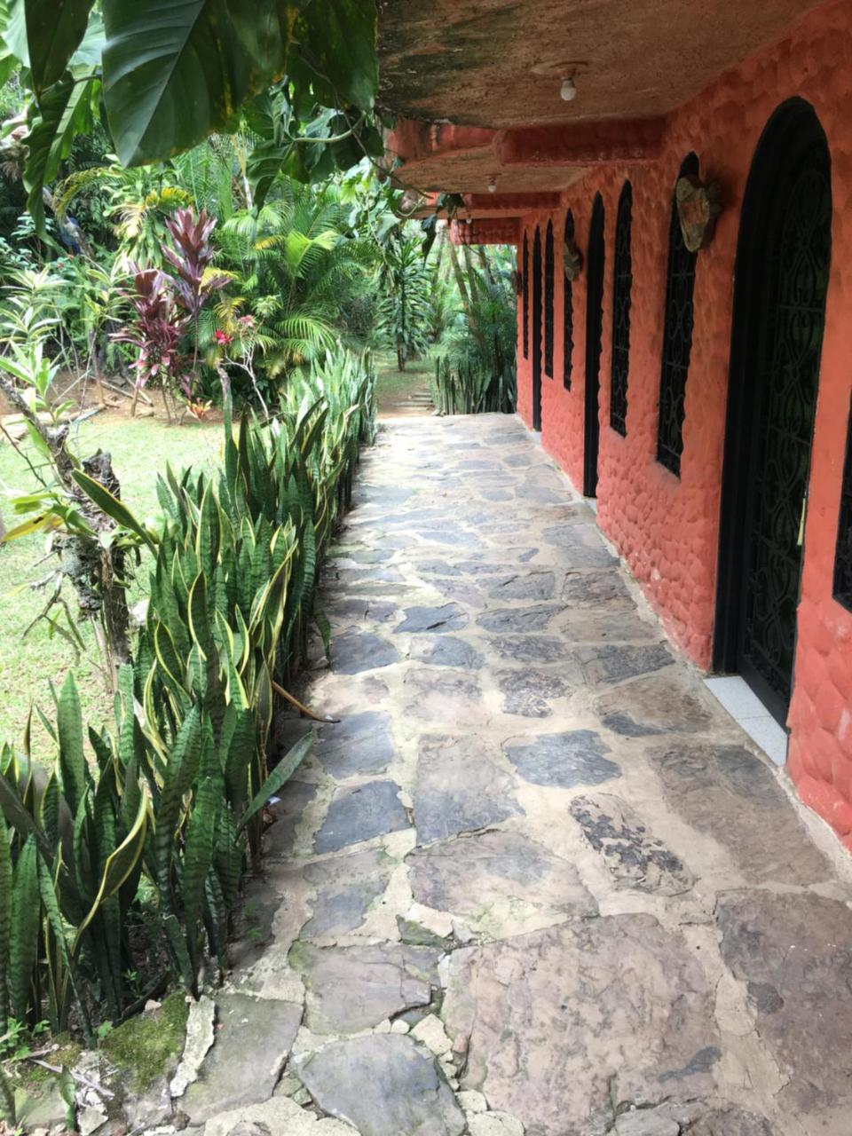 Hotel Green Ecologico ラ・ベガ エクステリア 写真