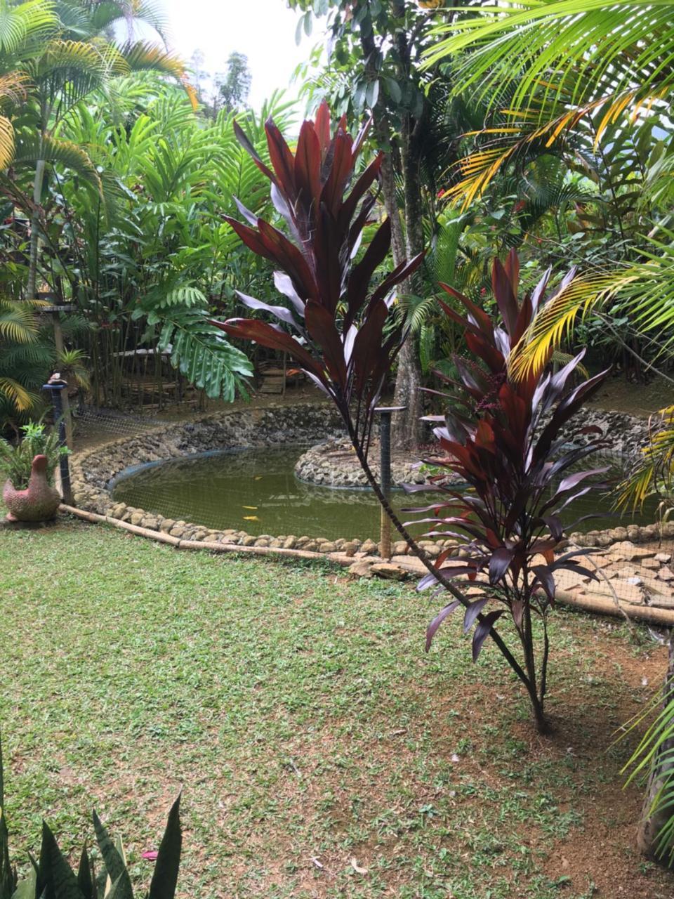 Hotel Green Ecologico ラ・ベガ エクステリア 写真
